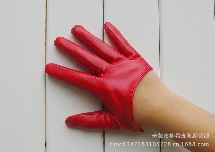 T2TCzHXnNXXXXXXXXX_!!163659016