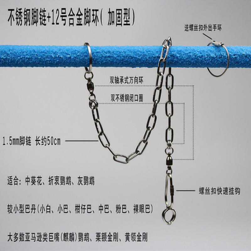 12链