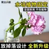 Soporte para plantas hidropónicas con figuritas, herramienta de jardinería para sostener y enderezar ramas, decoración de escritorio de oficina, se puede fijar en forma, adecuado para plantas en macetas hidropónicas