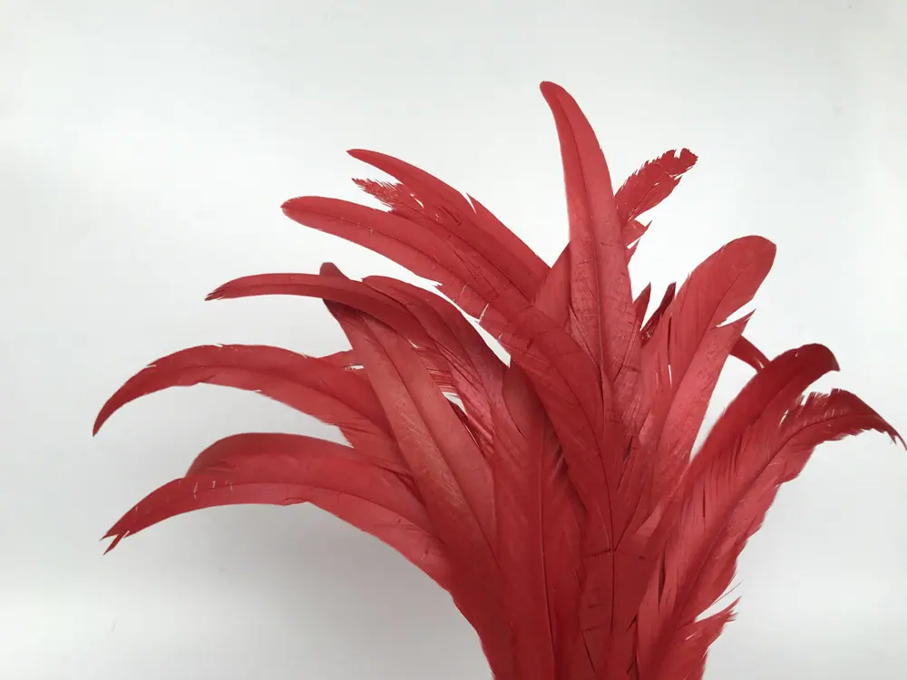 2019-04-2102616.jpg