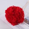 Flor Preservada Hortensia Venta al Por Mayor Flor Real Flor Seca Adornos de Flor Artificial 520 Día de la Madre Aromaterapia DIY Material de Flor de Vidrio