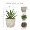 Planta en Maceta Artificial Mini Transfronteriza Hecha a Medida Adornos de Escritorio Bonsái Suculento de Simulación Flor Artificial Planta Verde Pulpa Suculenta Planta en Maceta