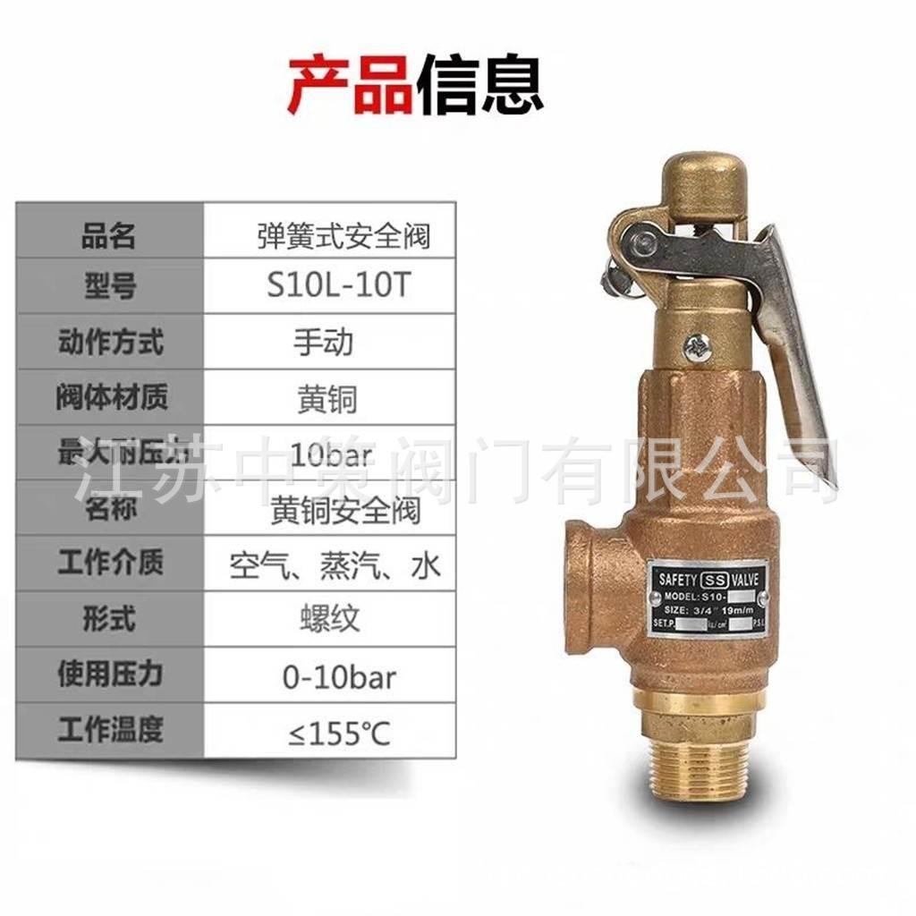 S10L安全阀1