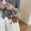 Super Quente Ins Bolinhas Passeio Pequena Bolsa de Mão Bolsa Boston Feminina 2026 Novo Estilo Popular Moda Bolsa de Ombro Único Transversal
