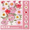 Paquete de Materiales DIY de Flores Secas Flores Prensadas Hechas a Mano Flores Conservadas Marcadores de Libros de Flores Prensadas Hojas de Árbol Real Plantas Pegatinas de Resina Maquillaje Facial