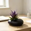 Maceta pequeña plana transfronteriza planta de aloe vera artificial en maceta decoración para interior hogar y oficina escritorio planta suculenta bonsái