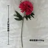 Flor de Hortensia Grande Estilo Europeo de Gama Alta Flor de Cebolla Bola de Flores Bola de Espinas Flor Artificial Flor Falsa Decoración del Hogar Guía de Boda Mesa de Ping Pong Crisantemo