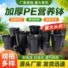 Vasos Nutritivos para Mudas Pretas Antienvelhecimento, Vasos de Flores de Plástico, Vasos de Cultivo, Copos Nutritivos para Transplante e Plantio de Mudas de Frutas e Árvores Frutíferas