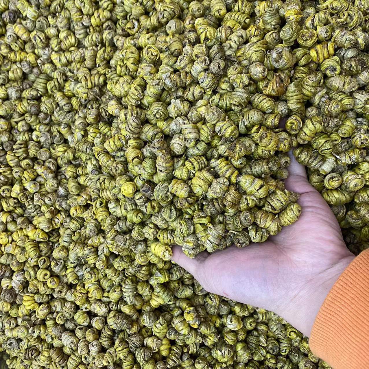 微信图片_20211220165504