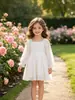 En stock vestido de princesa de manga larga Otoño Invierno Europeo Americano Vestido Casual de Niños Chifón temu Vestido de Cuadrado tiktok