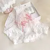 Bragas de Mujer Estilo Japonés Frescas y Sencillas con Cordones de Seda de Leche Bordadas de Princesa Estudiante de Cintura Baja Triángulo Cómodas Lindas