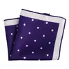 Fabricante Original Em Estoque Lenço de Seda Pequeno Quadrado para Pescoço 23cm Bolso de Terno Masculino Lenço de Seda Poliéster Homens de Negócios