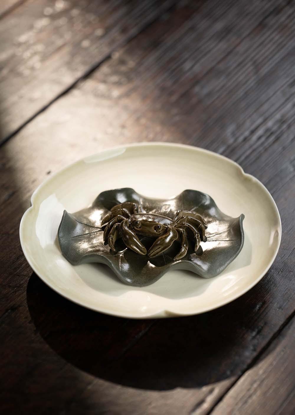 变色螃蟹20230516 (5).jpg