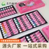 Pintura Gouache Bambú Verde para Principiantes y Niños 24 Colores No Tóxico Tubo 12 Colores Especial Estudiante de Arte Lavable Profesional
