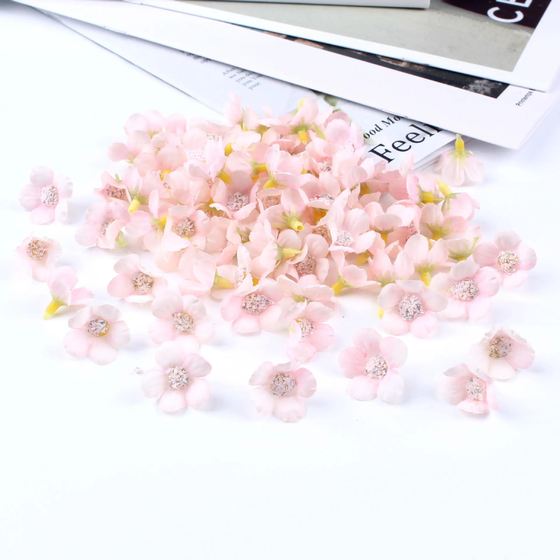 迷你小菊花16