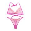 Novo Europeu e Americano Bordado Luxo Francês Underwear Strap Transparente Sexy Temptation Hot Conjunto de Sutiã Ajustável Mulheres
