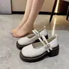 Zapatos Mary Jane de Suela Gruesa para Mujer 2025 Primavera Nuevo Estilo Tacón Grueso que Aumenta la Altura Estilo Universitario Británico JK Versátiles Zapatos Pequeños de Cuero