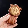 Bolsa Aromática de Sándalo Rojo Zodiacal Peine de Sándalo Masajeador de Piel Peine con Cojín de Aire Peine para Bebé de Un Año Peine Portátil de Dibujos Animados para Niños