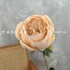 Peonía de un solo brote con núcleo, peonía redonda europea, decoración de boda, pared de flores, fotografía del hogar, accesorios de fotografía, flores