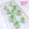 Atacado contas de neve flor renda flor estrela flor rosto maquiagem flor espécime de flor DIY artesanal flor epóxi manicure