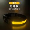 Cuero Reflectante LED Impermeable IPX7 Carga Tipo C Mascota Collar Luminoso Cuadros Collar para Perro Collar Eléctrico para Perro Noche
