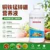 Cobre, hierro, manganeso, zinc, boro y molibdeno: un fertilizante micronutriente soluble en agua de seis elementos para prevenir el amarillamiento de las hojas pequeñas; fertilizante soluble en agua para riego por goteo genuino