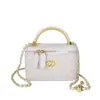 Bolso Pequeño Cuadrado Nuevo de Otoño e Invierno para Mujer, Bolso de Mano Versátil con Cadena Texturizada, Bolso de Hombro Cruzado Acolchado de Moda Estilo Pequeño Fragante