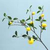 Ramos de Limão Simulados para Decoração de Interiores Domésticos, Enfeites de Frutas Artificiais, Arranjos Florais de Ano Novo, Plantas Verdes, Atacado do Fabricante