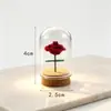 Acessórios para Estatuetas DIY Rosa do Pequeno Príncipe em uma Redoma de Vidro Enfeite de Carro de Rosa Presente de Dia dos Namorados Aniversário