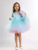 Día del Niño Disfraz de Performance Anfitrión Sencillo Fiesta de Cumpleaños Vestido de Princesa de Malla Voluminoso Brillante Vestido Colorido Transfronterizo