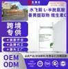 Cápsulas Duras de Cardo Mariano, Transaminase, Extrato de Cúrcuma, Suplemento de Vitamina C, Personalização OEM
