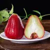 Fruta de Lótus Diamante Negro para Presentear, Fruta Tropical Recém-Colhida, Crocante e Doce, Fruta Diamante Negro Extra Grande 0,5kg /Jinp