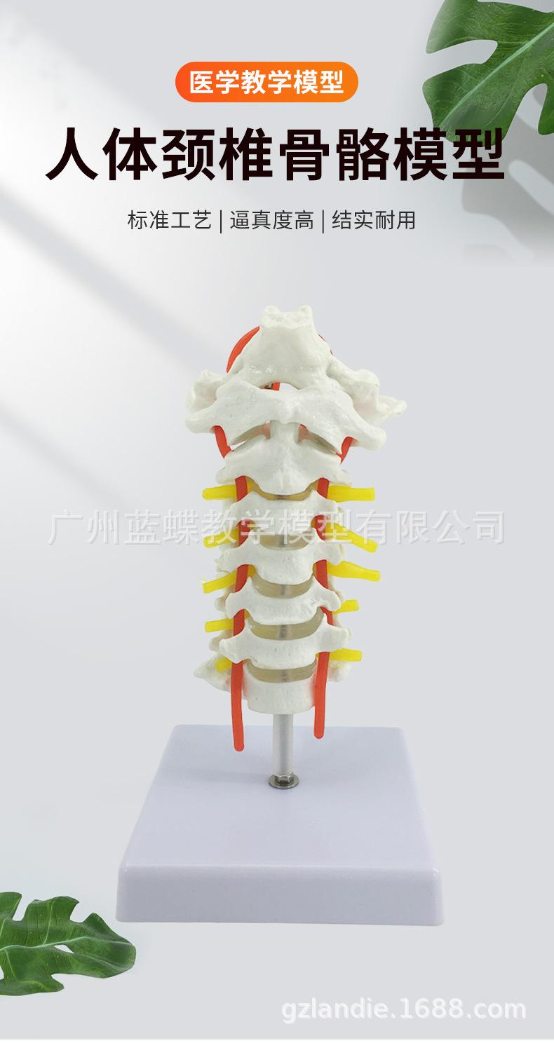 详情_01.jpg