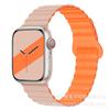 Adecuado para Apple Se Nuevo Bucle Magnético de Silicona de Doble Color Correa para Apple Watch 11ª Generación 10/987