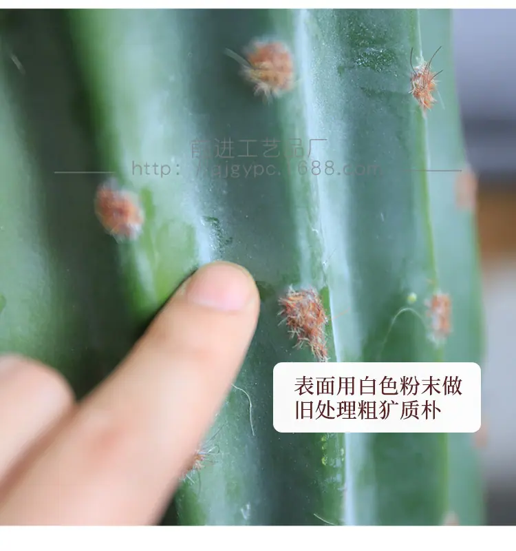 塑胶摩洛哥仙人柱ms_08