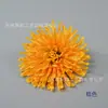 Flores de Crisântemo Garra de Dragão Simuladas, Crisântemos de Seda, Decoração de Paisagismo para Jardim Residencial em Cores de Outono, Adereços para Fotografia