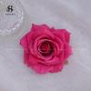 Tela de lana con borde rizado rosa multicolor cabeza de flor de rosa flor de boda especial pared de flores de primavera simulación de cascada de rosas flor