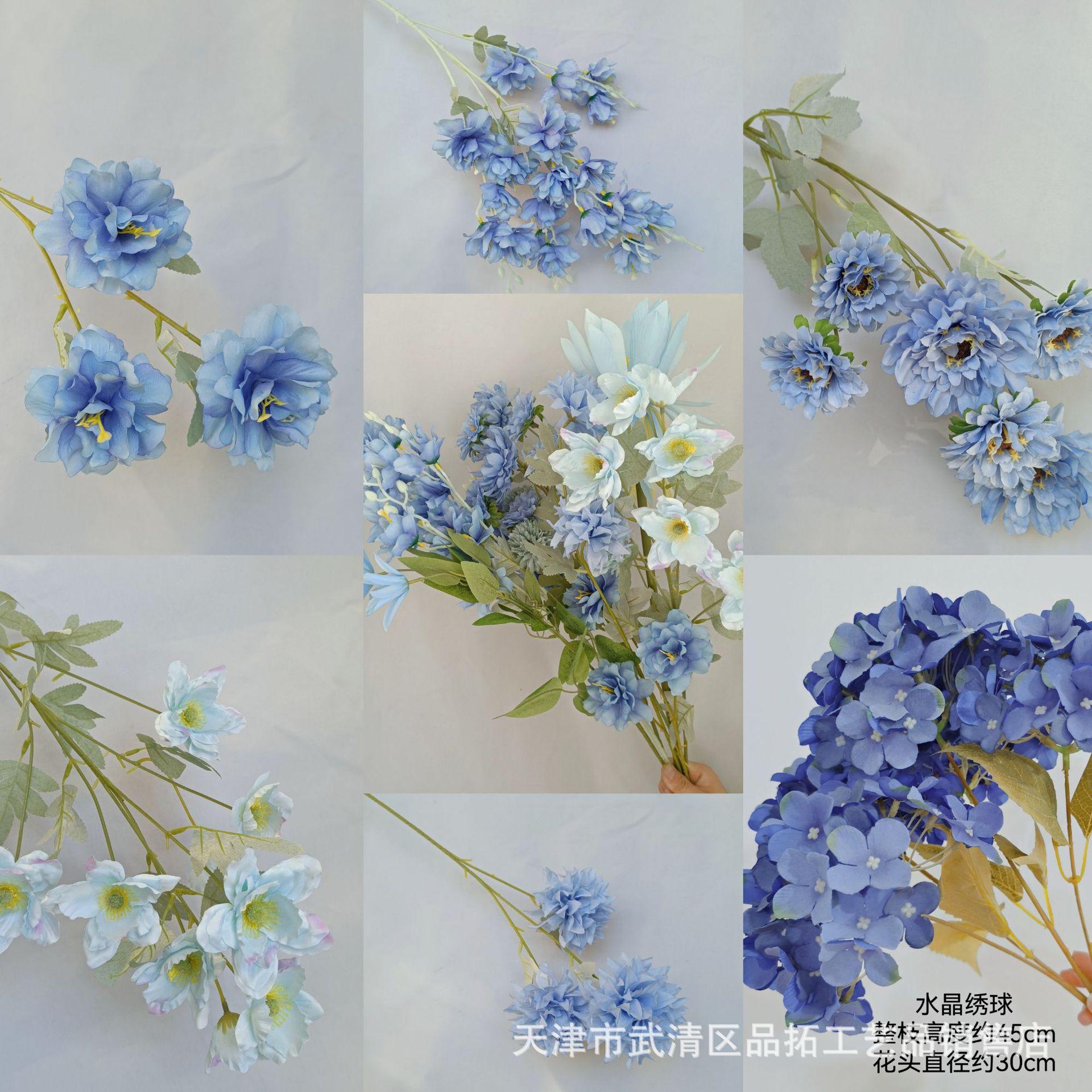 48a734a53ff0348fb55977b09d773c