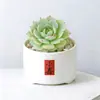Conjunto fofo de plantas de interior para mesa para jardim de infância, fácil de cultivar e cuidar, pequenas plantas em vasos