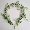 Hiedra Simulada Hoja de Uva Flor Planta Trepadora Simulada Hiedra Verde Planta Verde Decorativa Fabricante de Ratán Suministro