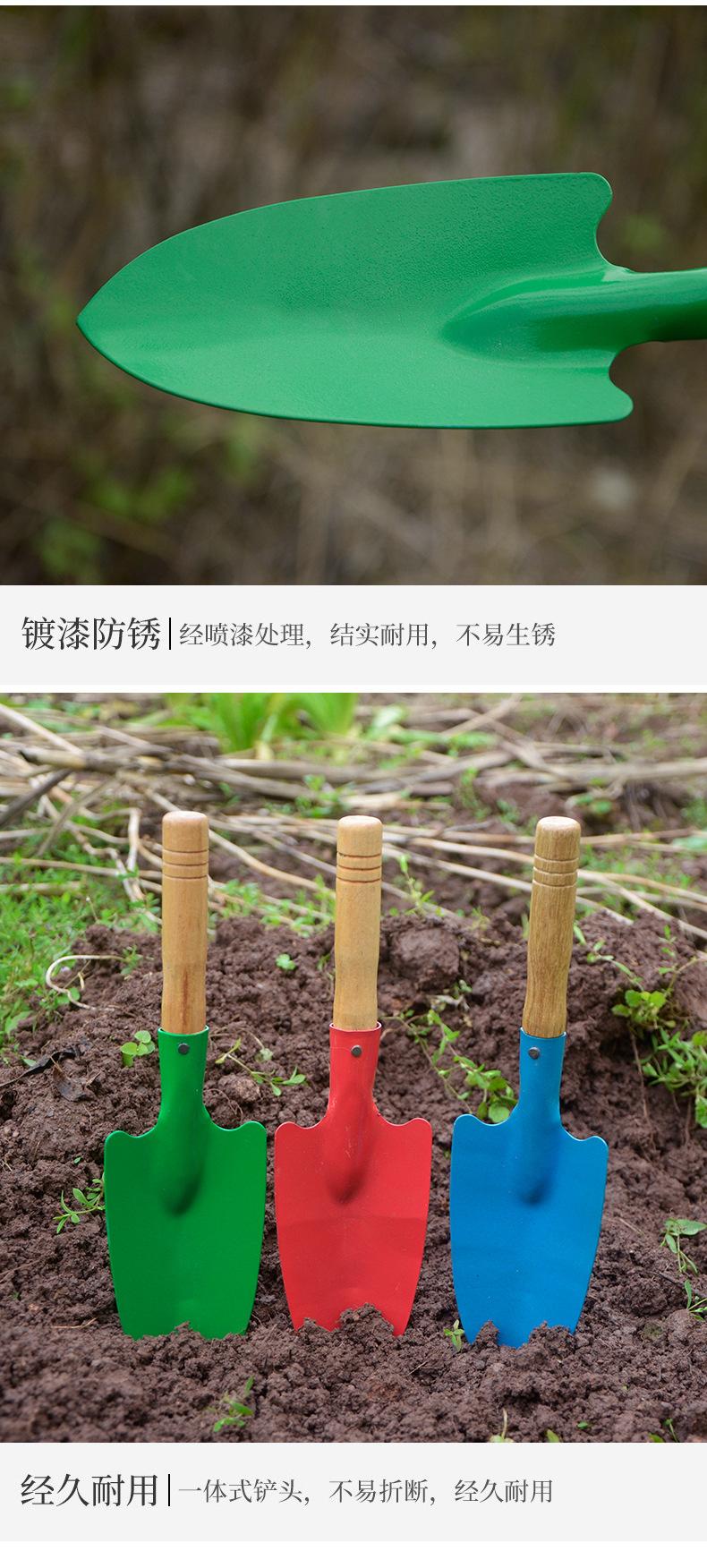 详情5