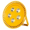 Luz à Prova de Explosão LED Luz de Túnel Baixa Tensão 12V24V36V Posto de Gasolina Armazém Fábrica Iluminação de Inundação 220V50W100W