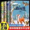 El Periódico del Bosque: Primavera, Verano, Otoño, Invierno - Los 4 Volúmenes, Lectura Extracurricular, Ilustrado con Imágenes a Color y Anotaciones Fonéticas, Cuentos de Hadas Clásicos Famosos en el Mundo