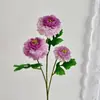 ¡Autorización! Carpa Dragón Artificial y Flores de Peonía para Decoración de Mesa de Comedor y Sala de Estar, Arreglos Florales para Salón de Bodas y Accesorios de Fotografía