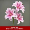 3 Flores de Lirio Simulación 3D Pequeño Libro Rojo Mismo recomendar Boda Decoración de Boda Flor Ventana Fotografía Paisaje