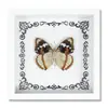 Espécime de Borboleta Real Decoração de Casa DIY Moldura de Madeira para Fotos Suprimentos de Pintura Decorativa Avançada Presente Moderno Presente Criativo