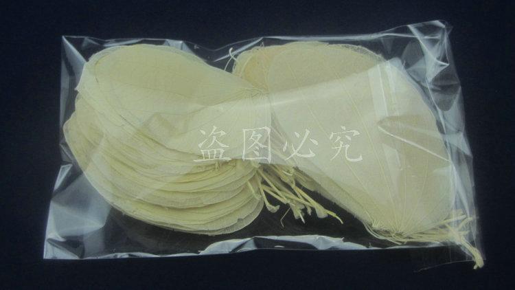 A002紫荆叶脉 (14)