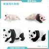 Juguete modelo de animal pequeño simulación ciclo de vida crecimiento rana tortuga pollo Montessori material didáctico preescolar venta al por mayor