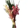 Mini pequeno flor seca vaso seco arranjo de flores buquê de flores secas decoração de casa decoração de loja padrão de decoração de porta-retrato de flor seca