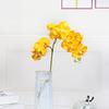 Venta al por mayor de fábrica flor de simulación 12 cabezas 2 horquillas tela de lana phalaenopsis mano simulación orquídea tela Juan decoración fuegos artificiales de boda